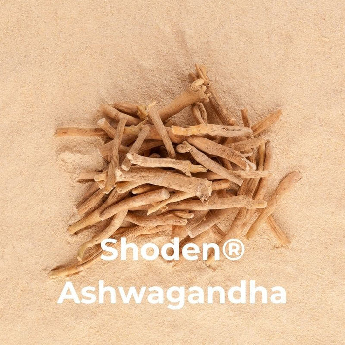 Shoden® Ashwagandha (World's Most Bioactive Extract). Shoden® is a clinically studied, high-potency extract with a 35% withanolide glycoside content, making it far superior to standard extracts. It is specifically designed to: LOWER NIGHTTIME CORTISOL to help your body transition from "fight or flight" to "rest and digest" — REDUCE STRESS & ANXIETY by balancing the HPA axis — IMPROVE RESTORATIVE SLEEP quality so you wake up feeling physically and mentally refreshed. It provides significant support for energy levels and overall vitality without the heaviness of sedative-only formulas.