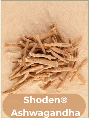 A clinically-proven, premium extract of Ashwagandha that helps lower cortisol, balance stress levels, and promote emotional well-being.