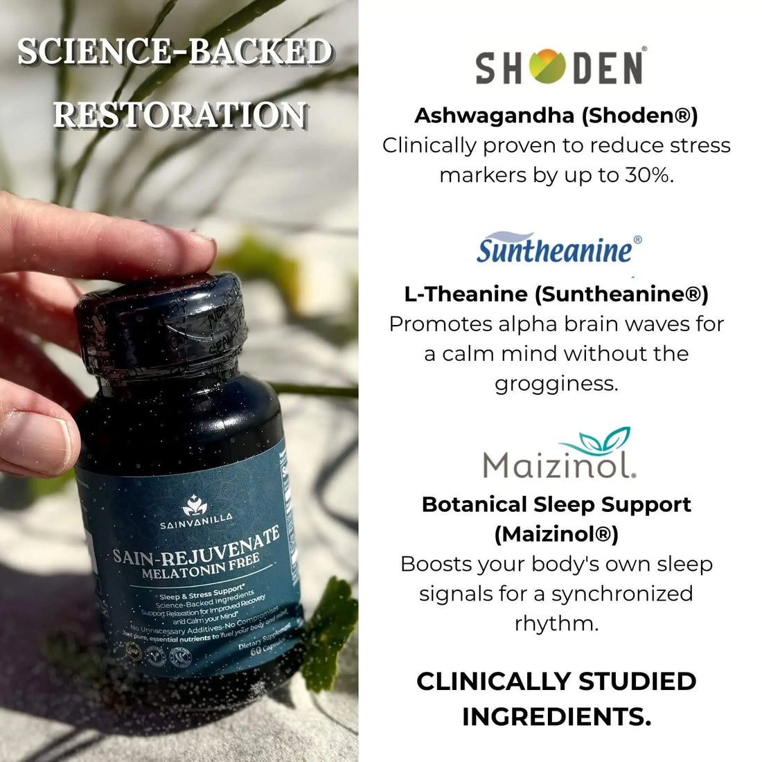 SAIN-REJUVENATE | Advanced Stress Relief and Deep Sleep (Melatonin-Free)